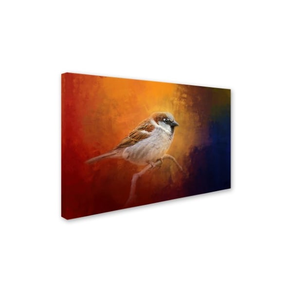 Jai Johnson 'Autumn Sparrow' Canvas Art,30x47